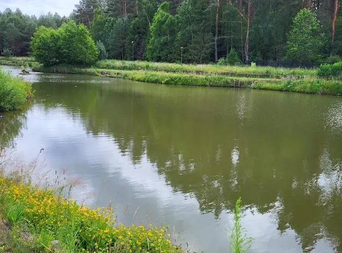 Leśniewo Czarna Góra Casa de Férias *